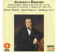 Brahms - Piano Trio