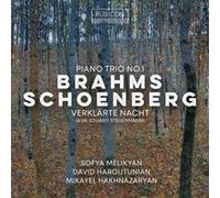 Brahms: Piano Trio No. 1-Schoenberg: Verklärte Nacht
