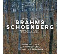 Brahms : Piano Trio Numéro 1, Schoenberg : Verklarte Nacht CD