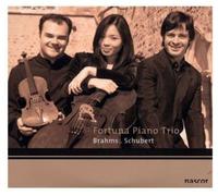 Brahms - Piano Trio Op.101