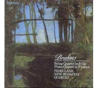 Brahms : String quartet / Piano quintet