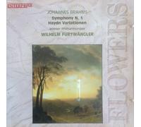 Brahms - Symphony 1 / Haydn Variations