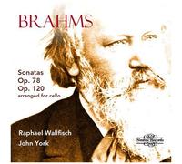 Brahms / Wallfisch / York - Sonatas 78 & 120 [Compact Discs]