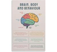 Brain Anatomy Poster Human Brain Psychology Wall-Art Decor