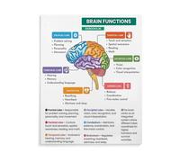 Brain Anatomy Poster Lobes and Functions Chart Educational Wall-Art Canvas Print for Psychology Class Office(Unframed,16X24inch(40X60cm))