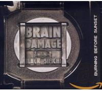 Brain Damage - Burning Before Sunset