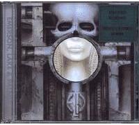Brain Salad Surgery