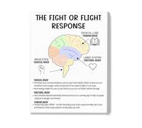 Brain Stress Response Poster Canvas Wall Art Fight or Flight Response Mental Health Decor for Therapy Office School Counselor Office Home(Unframed,08x12inch(20x30cm))