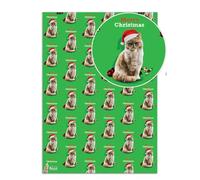 Brainbox Candy - 2 feuilles de papier cadeau de Noël amusant « Merry Christmas Cat Finger » - Papier cadeau de Noël fantaisie sur le thème du chat pour lui, elle, hommes, femmes, amis - Emballage plié