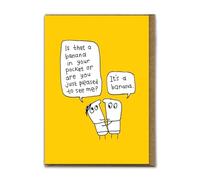 Brainbox Candy - Carte d'anniversaire amusante (gaufrée) - « Is That A Banana In Your Pocket » - Cartes humoristiques idiotes - Illustration mignonne de dessin animé - Cartes insolites pour lui, ses