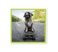 Brainbox Candy - Carte d'anniversaire amusante - « Skating Licked » - Carlin de skateboard mignon - Humour amusant et ludique - Carte de vœux fantaisie - Pour lui, elle, hommes, femmes, amis