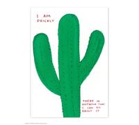 Brainbox Candy Carte postale officielle David Shrigley - « I Am Prickly » - Cartes postales amusantes - Art de David Shrigley - Impression A6 - Carte postale artistique
