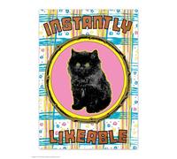 Brainbox Candy Carte postale officielle Magda Archer - « Instantly Likeable » - Cartes postales amusantes - Art Magda Archer - Impression A6 - Carte postale artistique