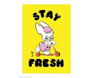 Brainbox Candy Carte postale officielle Magda Archer - « Stay Fresh » - Adorable kitsch vintage - Impression artistique A6 - Pour lui, ses amis