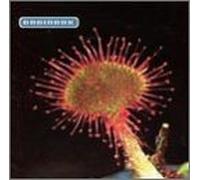 Brainbox - Primordia