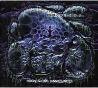 Braincell - Universal Language