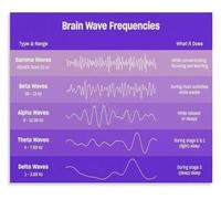 Brainwave Frequencies Poster Brain Health Wall Art | Neuroscience Brainwave Poster Ideal for Office or Study Room(Unframed,16x24inch(40x60cm))