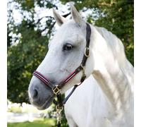 Brama West Bellano Covalliero Licol en cuir pour cheval Rouge/bleu marine Taille complète