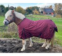 Brama-West - Couverture d'hiver pour cheval - Couverture d'extérieur 1680D - 200 g - Imperméable - Bordeaux (145)