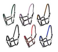 Brama West Licol de cheval Ruby | 2 positions réglables avec inserts en cuir | Licol de pâturage | Dans des couleurs surprises - Taille et quantité au choix (mini shetty, lot de 3)