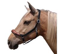 Brama West Licol en cuir Atlanta anatomique réglable sur 2 positions Taille Cob