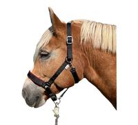 Brama West Licol pour cheval - Licol de pâturage en nylon rembourré - Aide d'écurie réglable - En 3 couleurs (noir, Full)