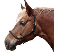 Brama West Licol pour cheval Meadow en cuir (poney)