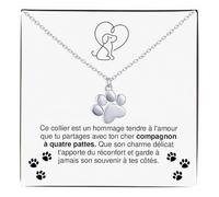 Bramart Collier Femme Pendentif Patte de Chien - Cadeau d’Amour pour Elle Anniversaire Noël - Idée Cadeau pour Femme - Coffret avec DÉDICACE inclus (Patte de Chien)