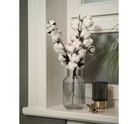 Branche Coton Naturelle - Fleur Séchée | Décoration Noces de Coton | Bouquet de Fleurs Séchées pour Mariage, Cadeaux, et Décoration Intérieure