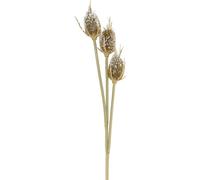 Branche de chardon Fleur artificielle Givrée Marron 90cm Deko Chardon Cardinal 3 têtes