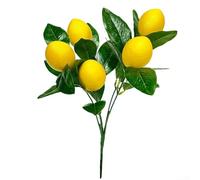 Branche de citron réaliste pour studio photo, création de contenu sur les réseaux sociaux et narration visuelle de marque style de vie (style B)