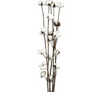 Branche de coton naturelle comme décoration polyvalente pour toutes les saisons 5 pces