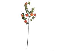 Branche de fleurs artificielles esthétiques avec des fruits vifs pour améliorer tout environnement intérieur cette saison (orange grenade)