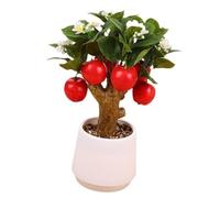 Branche De Fruits Artificiels Miniatures Branche d'arbre Artificiel Miniature Bonsais pour La Décoration De Vacances du Festival Bonsais Réaliste