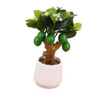 Branche De Fruits Artificiels Miniatures Branche d'arbre Artificiel Miniature Bonsais pour La Décoration De Vacances du Festival Bonsais Réaliste