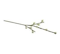 Branche de fruits d'eucalyptus 40cm