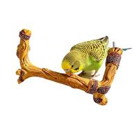 Branche de siège d'oiseau en résine - Support de cage antidérapant en forme d'arbre - Barre de repos texturée pour soulager l'ennui des oiseaux comme décoration de cage