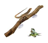 Branche d'escalade du réservoir à Serpents - Perche en Bois Naturel, Enregistrement d'escalade de Reptiles | Stick de la Jungle Artisanale pour Terrarium d'amphibiens, Plate-Forme sans desl