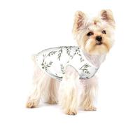 Branche d'olivier dessinée à la Main Nourriture et Boisson,T-Shirt sans Manches en Coton pour Animaux de Compagnie, Gilet Respirant, Extensible et Doux,S