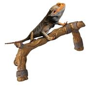Branche Reptile | Branche d'escalade en Résine pour Terrarium - Habitat Multifonction pour Caméléons Dragons Barbus Tortues Serpents Grenouilles