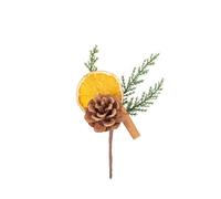 Branche Sapin Orange SÉCHÉE Cannelle CÔNE 13.5CM