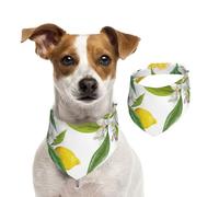Branches de citronnier Exotiques à Motifs, délicieuses et délicieuses,Bandanas pour Chien, écharpe en Coton, Bavoirs réglables pour Animaux de Compagnie,M