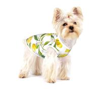 Branches de citronnier Exotiques à Motifs, délicieuses et délicieuses,T-Shirt sans Manches en Coton pour Animaux de Compagnie, Gilet Respirant, Extensible et Doux,L