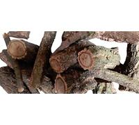 Branches de liège, sections de 1 kg, différentes longueurs et diamètres, pour terrariums, cages à oiseaux et travaux manuels.