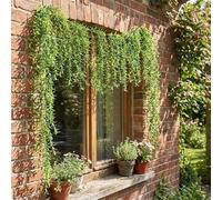 Branches de vigne artificielles pour une décoration d'intérieur élégante dans les salons et les espaces commerciaux, matériau en plastique léger avec aspect naturel (style F)