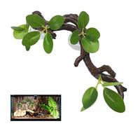 Branches d'escalade | Branche Décorative, Support Vent | Jouets -Enrichissement, Meubles de Serpent | Accessoires de Terrarium, Lizard, Chaméléon, Habitat Naturel Interne