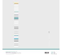 Branciforte, Joseph / Bleckmann, Theo - LP2