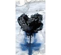 Brand New Album(2Cd+DVD)(Ed.) [Import]