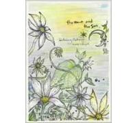 Brand New Dvd [Import allemand]