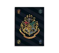 BrandMac Harry Potter Couverture polaire 100 x 140 cm